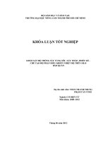 KHẢO SÁT HỆ THỐNG SẤY TẦNG SÔI  SẤY THÁP, THIẾT KẾ  CHẾ TẠO BỘ PHẬN ĐIỀU KHIỂN NHIỆT ĐỘ TRÊN SILO BẢO QUẢN