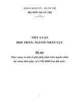 Thực trạng và một số giải pháp phát triển nguồn nhân lực nông thôn  phục vụ công nghiếp hóa hiện đại hóa dát nước