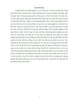 LẬP dự án đầu tư cơ sở sản XUẤT KINH DOANH GẠCH KHÔNG NUNG NGỌC LINH 