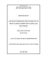 Vận dụng marketing mix tại hợp tác xã dịch vụ nông nghiệp chất lượng cao hoa phong