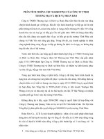 Phân tích chiến lược marketing của công ty TNHH thương mại và dịch vụ hoàn hảo 