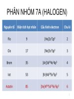 Nguyên tố Nhóm 7a (HALOGEN)