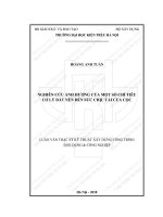 Nghiên cứu ảnh hưởng của một số chỉ tiêu cơ lý đất đến sức chịu tải của cọc (tt) 