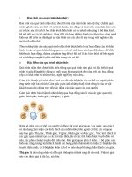 QUÁ TRÌNH NHẬN THỨC THEO lối TIẾP cận THẦN KINH não bộ