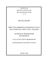 Chiến lược marketing cho sản phẩm băng tải của viện cơ khí năng lượng và mỏ   vinacomin 