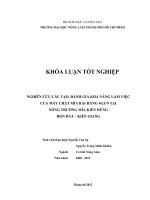 NGHIÊN CỨU CẤU TẠO, ĐÁNH GIÁ KHẢ NĂNG LÀM VIỆC CỦA MÁY CHẶT MÍA RẢI HÀNG 4GZ9 TẠI NÔNG TRƯỜNG MÍA KIÊN DŨNG HÒN ĐẤT – KIÊN GIANG