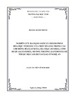 Nghiên cứu đa dạng loài và thành phần hóa học tinh dầu của một số loài trong các chi: Hồng bì (Clausena), Ba chạc (Euodia), Cơm rượu (Glycosmis), Muồng truổng (Zanthoxylum) thuộc họ Cam (Rutaceae) ở Nghệ An.