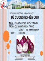 Báo cáo đồ án phân tích các vitamin trong củ hành tím