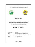 Direct estimation of carbon stock from standing trees at campus forest inderalaya, sriwijaya university, south sumatra, indonesia 
