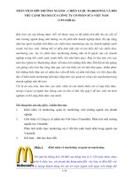 Phân tích môi trường ngành – chiến lược marketing và đối thủ cạnh tranh của công ty cổ phần sữa việt nam (vinamilk)