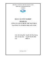 CÔNG tác QUẢN TRỊ hạt NHỰA tại CTY cổ PHẦN NHỰA đà NẴNG