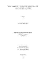 KHẢO NGHIỆM CÁC THÔNG SỐ LÀM VIỆC CỦA MÁY GÂY CHOÁNG CÁ KIỂU XUNG ĐIỆN