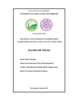 The design and synthesis of graphene oxide at iron oxide (GOFexOy) for catalytic application 