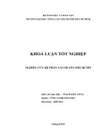 NGHIÊN CỨU HỆ PHÂN TÁN HUYỀN PHÙ RUTIN