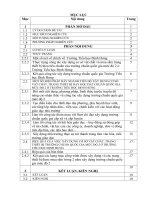 skkn một số biện pháp đẩy nhanh tiến độ xây dựng cơ sở vật chất, trang thiết bị dạy học trường chuẩn quốc gia mức độ 2 ở trường tiểu học định hưng 