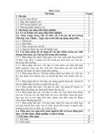 skkn biện pháp chỉ đạo nhằm nâng cao chất lượng sinh hoạt các câu lạc bộ tại trường tiểu học lộc thịnh   ngọc lặc 