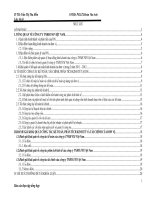 báo cáo thực tập kế toán tổng hợp tại công ty TNHH FSI VIỆT NAM 