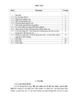 skkn một số biện pháp chỉ đạo xây dựng môi trường giáo dục lấy trẻ làm trung tâm trong trường mầm non 