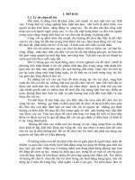 skkn một số biện pháp hướng dẫn trẻ mẫu giáo 5   6 tuổi làm và trải nghiệm đồ chơi tự tạo tại trường mầm non thúy sơn 