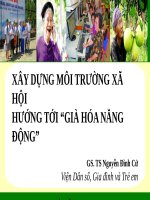 XÂY DỰNG MÔI TRƯỜNG XÃ HỘI HƯỚNG TỚI “GIÀ HÓA NĂNG ĐỘNG”