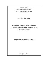 Nạn nhân của tình hình tội phạm xâm phạm nhân thân trên địa bàn tỉnh quảng trị