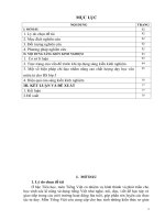 skkn một số biện pháp chỉ đạo nhằm nâng cao chất lượng dạy văn miêu tả cho học sinh lớp 5 