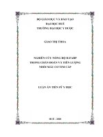 Nghiên cứu nồng độ h FABP trong chẩn đoán và tiên lượng nhồi máu cơ tim cấp ( Luận án tiến sĩ)