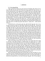 skkn xây dựng bộ tiêu chí đánh giá xếp loại chuyên môn giáo viên góp phần nâng cao chất lượng giáo dục trường tiểu học điền lư 1 