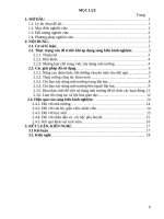 skkn một số biện pháp chỉ đạo xây dựng môi trường giáo dục lấy trẻ làm trung tâm ở trường mầm non 