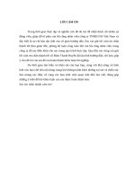 hiệu quả sử dụng vốn ở công ty TNHH FSI VIỆT NAM 