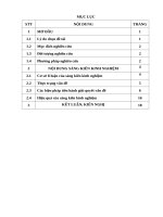 skkn một số biện pháp dạy trẻ 5 6 tuổi là người dân tộc thiểu số nói tiếng việt rõ ràng qua hoạt động khám phá khoa học 