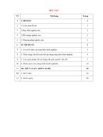 skkn một số kinh nghiệm tham mưu xây dựng cơ sở vật chất, trang thiết bị hoàn thành tiêu chí trường chuẩn quốc gia mức độ i tại trường MN cẩm ngọc 