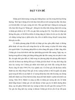 Nghiên cứu ứng dụng ghép tế bào gốc tủy xương điều trị khớp giả thân xương dài chi trên ( Luận án tiến sĩ)