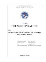 ĐỒ ÁN TỐT NGHIỆP  MÔ PHỎNG MÃ BẢO MẬT AES TRONG WIMAX KÈM CODE MATLAB