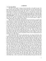 Một số biện pháp “ một số biện pháp triển khai và chỉ đạo thực hiện xây dựng môi trường giáo dục lấy trẻ làm trung tâm trong trường mầm non” 