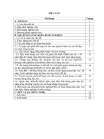 skkn kinh nghiệm chỉ đạo giáo viên thực hiện tốt việc lồng ghép giáo dục kỹ năng sống cho trẻ 3 6 tuổi tại trường mầm non nga hải 