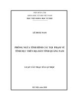 Phòng ngừa tình hình các tội phạm về tình dục trên địa bàn tỉnh Quảng Nam