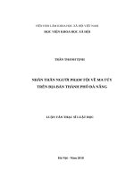 Nhân thân người phạm tội về ma túy trên địa bàn thành phố đà nẵng 