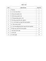 skkn một số biện pháp tăng cường tiếng việt cho trẻ dân tộc thiểu số 4 5 tuổi 