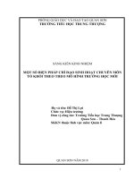 skkn một số biện pháp chỉ đạo sinh hoạt chuyên môn tổ khối theo mô hình trường học mới 