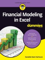 Financial modeling in excel for dummies   1e (2017) 