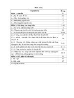 skkn chỉ đạo và thực hiện chuyên đề giáo dục lấy trẻ làm trung tâm 