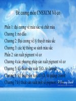 Đề cương môn công nghệ sản xuất chất màu