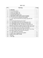 skkn một số biện pháp bồi dưỡng chuyên môn nhằm nâng cao chất lượng đội ngũ giáo viên ở trường mầm non nga tân 