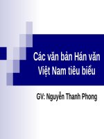 Các văn bản Hán văn Việt Nam tiêu biểu