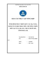 Tình hình phát triển kết cấu hạ tầng kinh tế xã hội theo tiêu chí nông thôn mới tại xã ea blang thị xã buôn hồ tỉnh đắk lắk