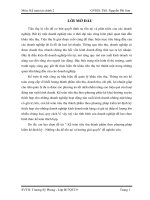 Kế toán tiêu thụ thành phẩm theo phương pháp kiểm kê định kỳ   những vấn đề tồn tại và hướng giải quyết 