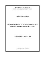 Pháp luật về bảo vệ rừng qua thực tiễn áp dụng trên địa bàn tỉnh cà mau 