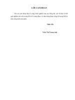 Thế giới nhân vật trong tác phẩm tôi thấy hoa vàng trên cỏ xanh của nguyễn nhật ánh 