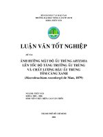 ẢNH HƯỞNG MẬT ĐỘ ẤU TRÙNG ARTEMIA LÊN TỐC ĐỘ TĂNG TRƯỞNG ẤU TRÙNG VÀ CHẤT LƯỢNG HẬU ẤU TRÙNG TÔM CÀNG XANH